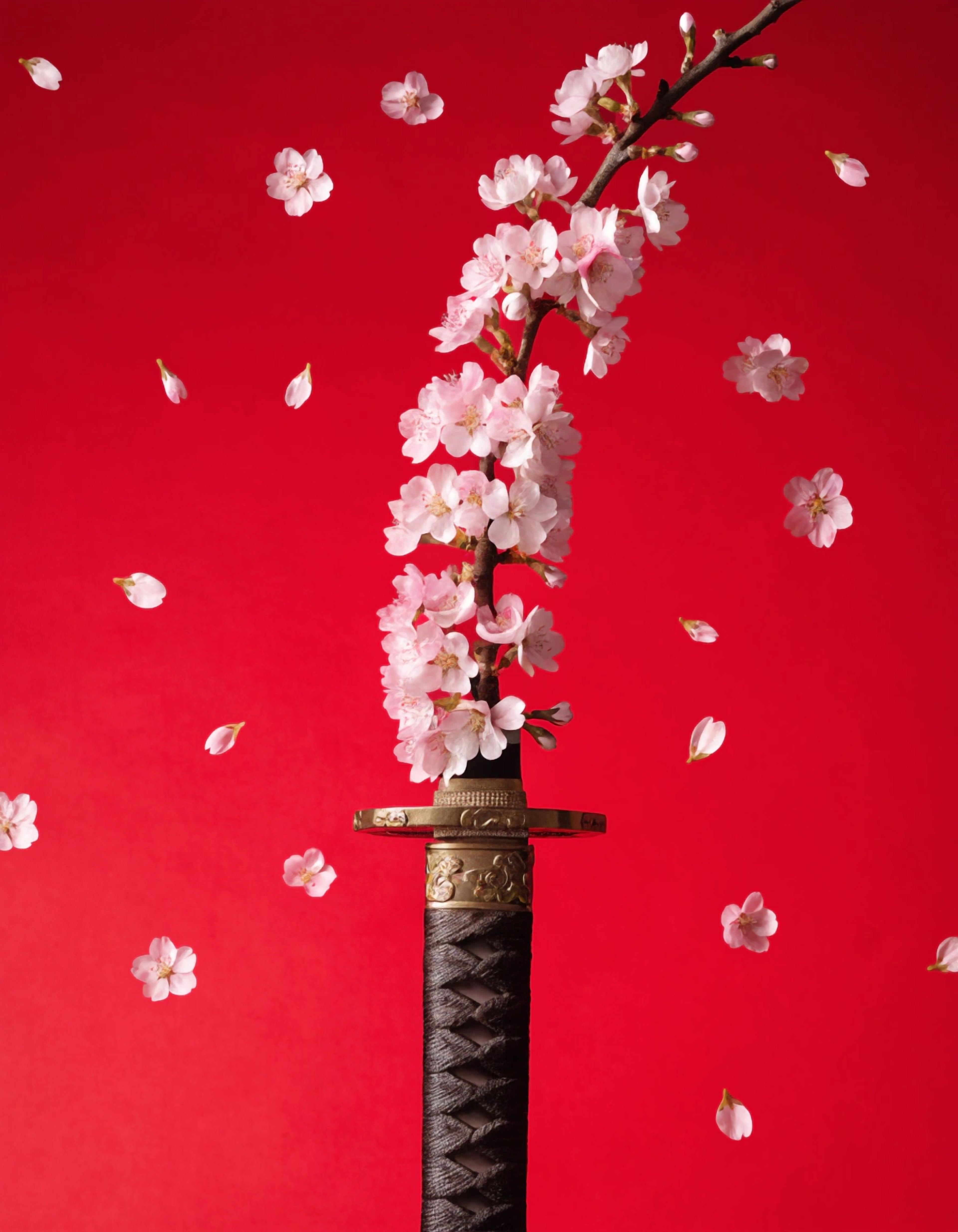 Heritage Walls – Katana und Kirschblüten